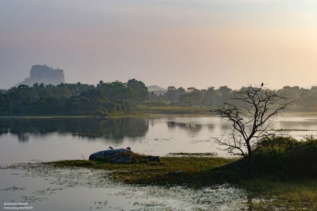 Vue panoramique sur le site archéologique de Sigiriya, le Rocher du Lion, à travers la jungle.
