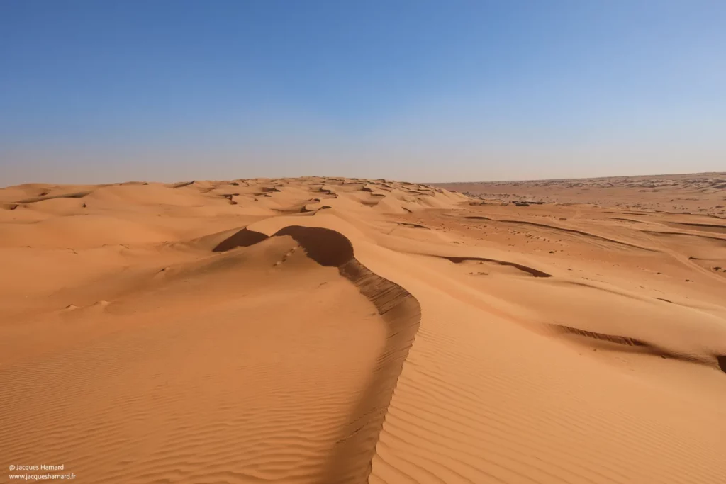 Une virée dans le désert à Wahiba Sands par Jacques Hamard