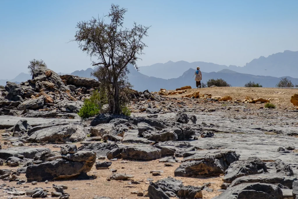 Bédouin à Jebel Shams par Jacques Hamard