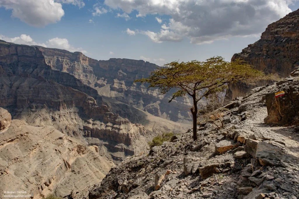 Jebel Shams par Jacques Hamard