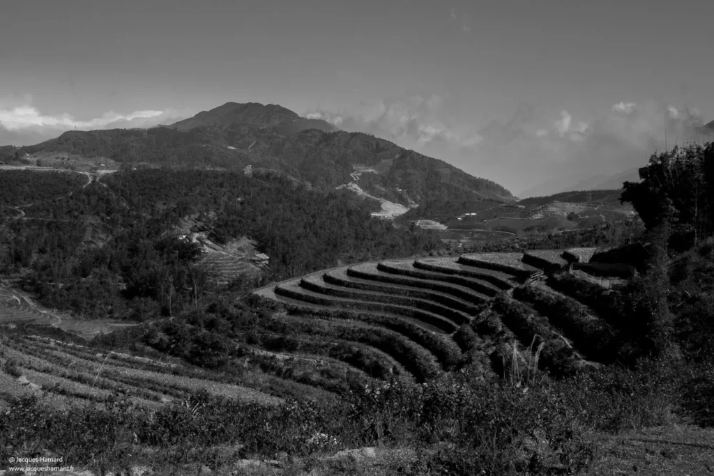 Sapa, des rizières jusqu'à l'infinie par Jacques Hamard
