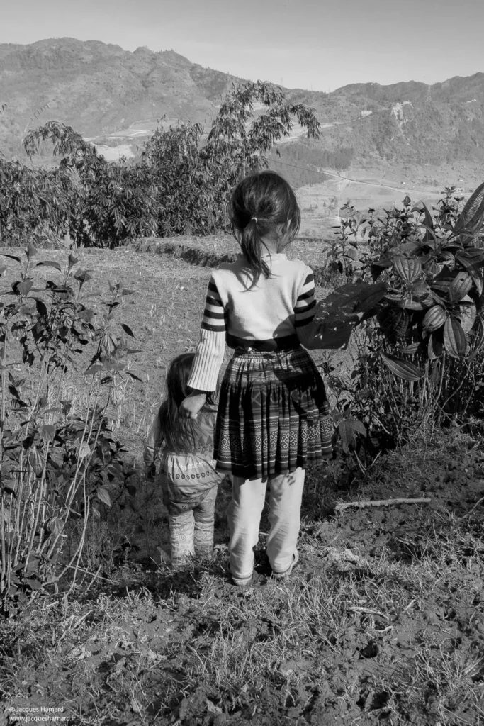 Un regard qui en dit long sur le paysage à couper le souffle par Jacques Hamard