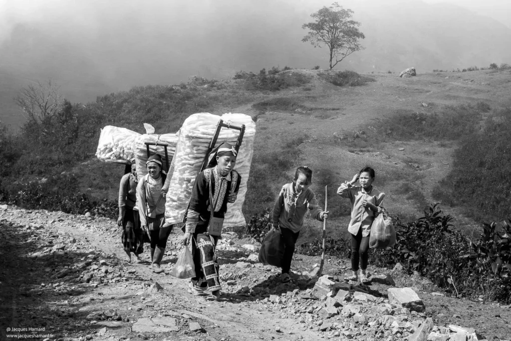 Femmes de retour de la ville vers leurs village à Sapa par Jacques Hamard