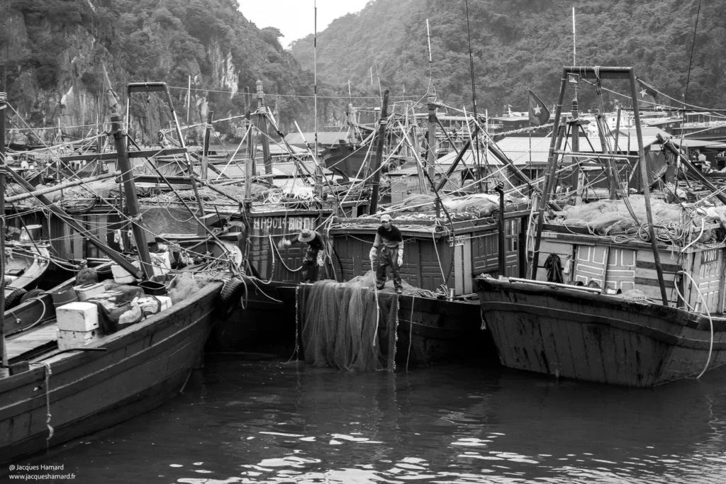 Bateaux de pêche dans la baie d'Halong par Jacques Hamard