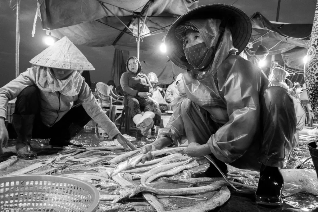 Marché au poissons à Hoï Han par Jacques Hamard