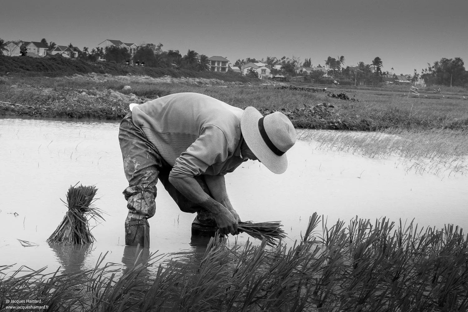 Vietnam – Trois semaines en noir et blanc