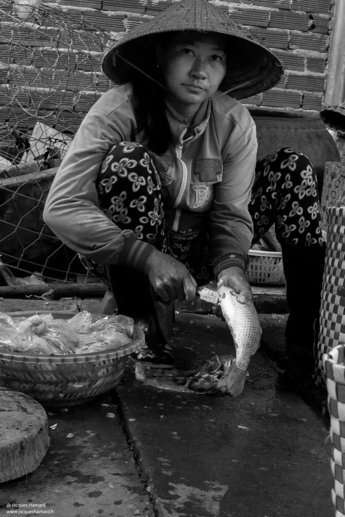Marché au poissons à Hoï Han par Jacques Hamard