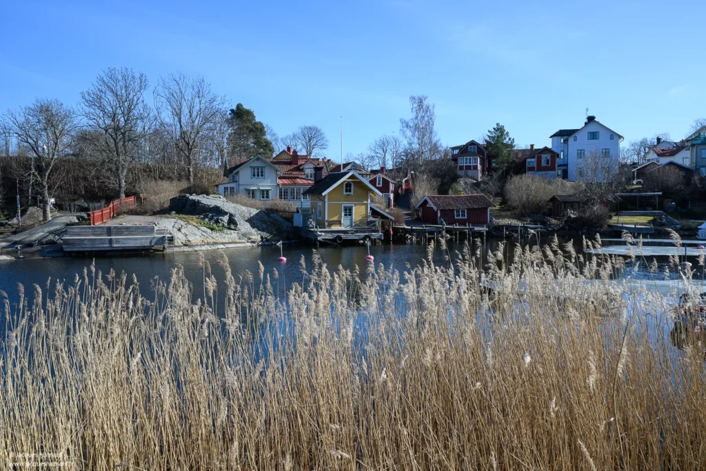 Paysage d'archipel avec roseaux au premier plan et maisons en bois à Stockholm
